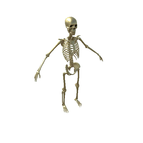 Gold_Skeleton Variant